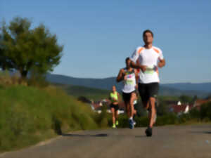 photo Les 10km du marathon de Colmar