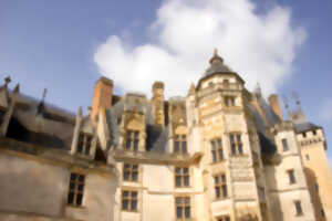 photo Journées européennes du Patrimoine au Château de Meillant