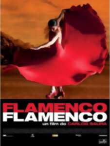 photo Ciné-club : «Flamenco Flamenco »