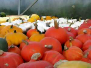 Foire aux Courges - 31ème édition