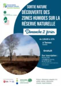 photo Sortie Nature : Découverte des zones humides