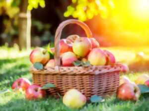 photo Fête de la Pomme