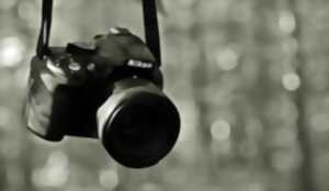 photo Biennale - Itinéraire Photographique en Limousin - Limoges
