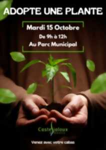 photo Adopte une plante