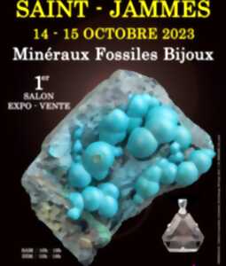 Salon Minéraux Fossiles Bijoux