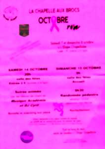 photo Randonnée pédestre au profit d'Octobre Rose