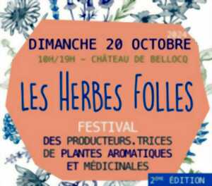 Festival : Les Herbes folles