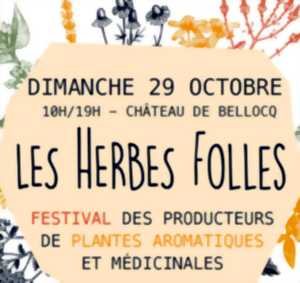 Festival : Les Herbes folles