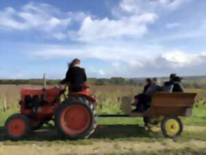 photo Fascinant week-end - Balade vigneronne en tracteur à Villiers-sur-Loir