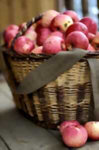 photo Fête de la pomme et du boudin