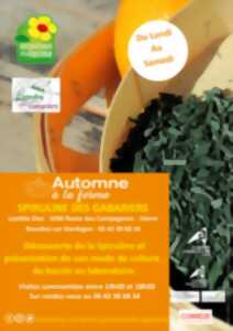 photo Automne  la Ferme - Spiruline des Gabariers