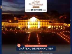 photo LA NUIT DES CHÂTEAUX