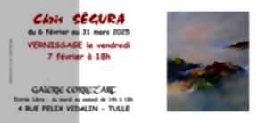 photo Galerie Correz'Art : Exposition : Chris Segura