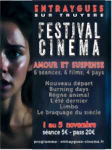 Festival de cinéma 