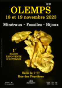 photo 9° Salon des minéraux fossiles bijoux