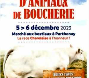 photo Concours national d'animaux de boucherie (foire primée)