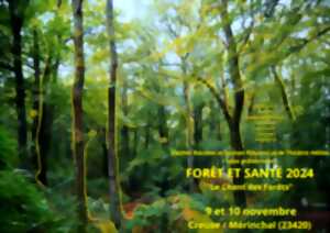 photo Forêt et Santé