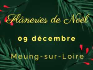 photo Les Flâneries de Noël