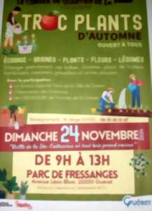 photo Troc plants d'automne