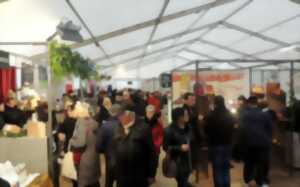 photo Marché de Noël des Producteurs et Artisans Locaux - Limoges