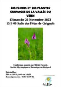 photo Conférence : Plantes locales et Flore