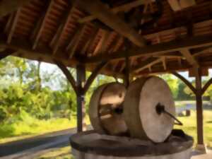 photo Le Moulin d'Antoine - Soirée dénoisillage