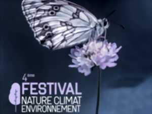 photo FESTIVAL de cinéma