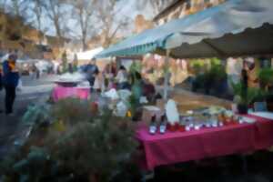 photo Marché de Noël de Ségur Le Château