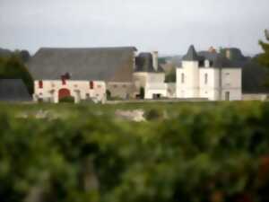 Bourgueil et entrecôte au Domaine des Mailloches