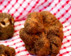 photo Marché aux truffes et aux produits régionaux