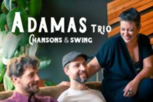 photo Concert - Adamas Trio - Isle