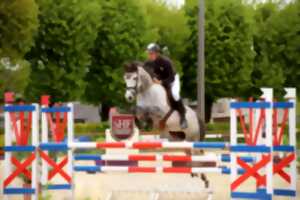 photo Concours de Saut d'Obstacles Club