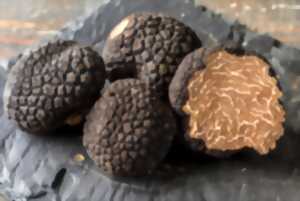 photo Marché aux Truffes de Saint Geniès