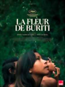 Cinéma Arudy : La fleur de Buriti VOST