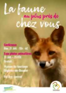 photo Exposition
