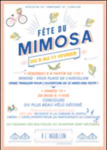 photo Fête du Mimosa