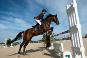 Equitation – Concours de Saut d’Obstacles National