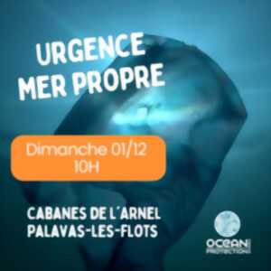 photo COLLECTE DE DÉCHETS AVEC OCEAN PROTECTION