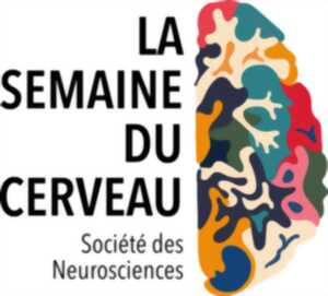 La mémoire, apprendre pour survivre - Semaine du Cerveau 2025 - Limoges