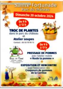 Troc de plantes