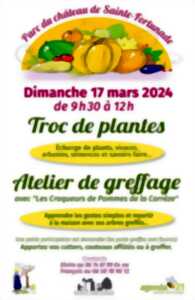 Troc de plantes