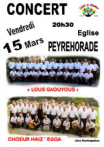 photo Concert de Lous Gaouyous