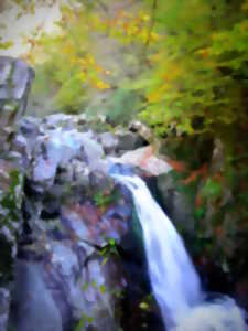 photo Découverte nature au Massif des Agriers et dans la vallée du Chavanon