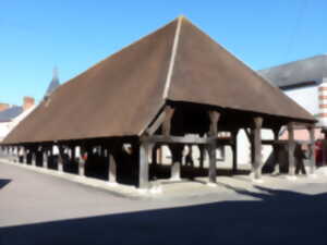 Visite guidée de Lorris et son orgue