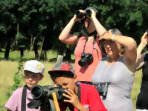 photo SORTIE NATURE - CRIS ET CHANTS D'OISEAUX