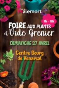 photo Foire aux plants et vide-greniers