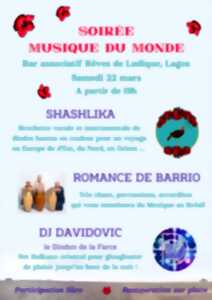 photo Concert musique du monde