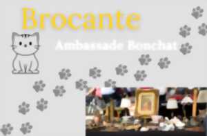 photo Brocante-Ambassade Bonchat