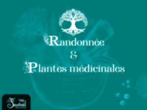 photo Randonnée et plantes médicinales