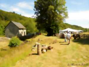 photo Le Moulin du Travers